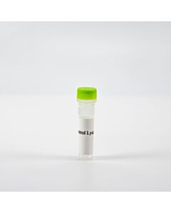 Revvity HTRF Human Total IRE1 Detection Kit, Control Lysate