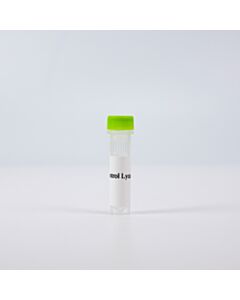 Revvity HTRF Human Total STAT2 Detection Kit, Control Lysate