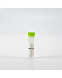 Revvity HTRF Human Phospho-STAT2 (Tyr690) Detection Kit, Control Lysate