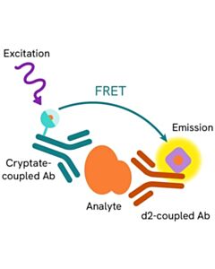 Revvity HTRF Human and Mouse Soluble TREM2 Detection Kit, 500 assay points