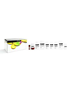 Revvity chemagic miRNA Kit (Manual)