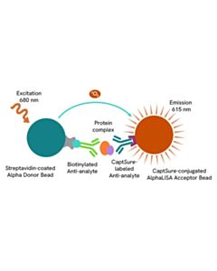 Revvity AlphaLISA SureFire Ultra Human Phospho-STAT1 (Tyr701)/phospho-STAT2 (Tyr690) Complex Detection Kit, 100 Assay Points