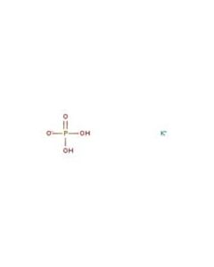 RICCA Phosphate Std, 10,000 Ppm Po4 Size
