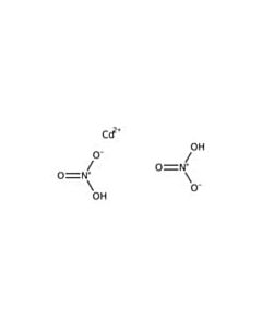 RICCA Verispec Cadmium Standard For ICP