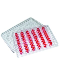 RPI 96 Well Assay Plate, Sterile, Flat Bottom With Lid, Individually Wrapped, 100 Per Case