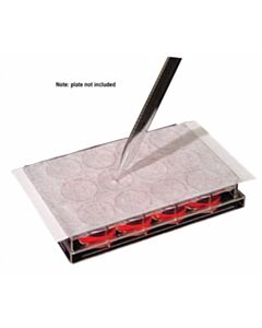 RPI Aeraseal Sealing Film For CuLture Plates, Sterile, 82 X 126 mm, 50 Per Package
