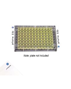 RPI Sealplate Colortab Film, Non-Sterile, Blue, 100 Per Package