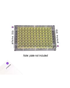 RPI Sealplate Colortab Film, Non-Sterile, Lavender, 100 Per Package