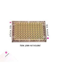 RPI Sealplate Colortab Film, Non-Sterile, Red, 100 Per Package