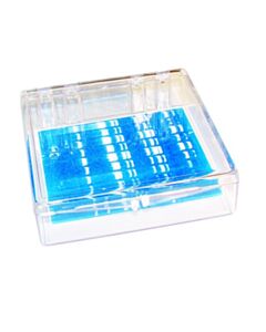 RPI Mini-Blotting Containers, 11.5 X 11.5 X 3.5cm, Clear, 6 Per Case