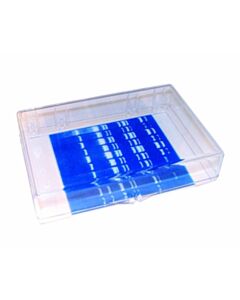 RPI Mini-Blotting Containers, 15.4 X 10.4 X 2.5cm, Clear, 4 Per Case