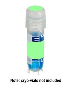 RPI Direct Thermal Cryo-Tags (1.5x0.5")And Spot (3/8") Combo, Green, 500 Sets Per Package