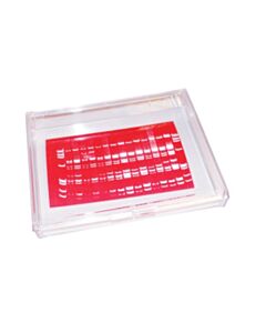 RPI Mini-Blotting Containers, 18.75 X 12.75 X 2.0cm, Clear, 4 Per Case