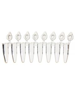 RPI Ultraflux Rigid Pcr Clear Tube Strips With Clear Caps, 120 Strips Of 8 Tubes Per Package
