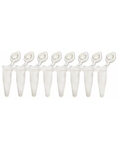 RPI Ultraflux Rigid 0.2ml Pcr White Tube Strips With Clear Caps, 120 Strips Of 8 Tubes Per Package