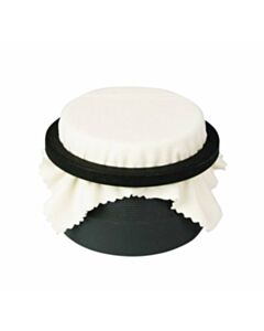 RPI Replica-Plating Tool