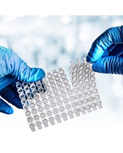 RPI Superflex Break-Away Plate, Clear PCR Plate, Non-Sterile, 100 Per Case