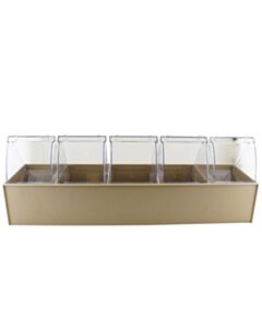 RPI Clear Tip Open Bin, 5 Bins, 5 1/4 X 23 5/8 X 6 1/2 Inches