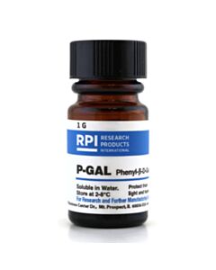 RPI P-Gal [Phenyl-Β-D-Galactopyranoside], 1 Gram