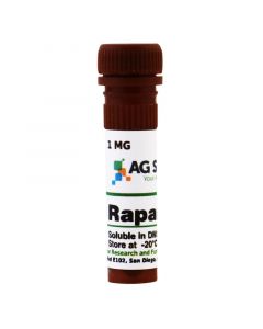AG Scientific Rapamycin, 1 MG