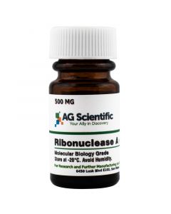 AG Scientific RNase A, 500 MG