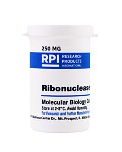 RPI Ribonuclease A, Bovine Pancreas, 250 Milligrams