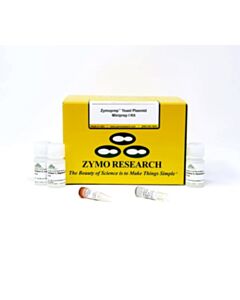 RPI Zymoprep Yeast Plasmid Miniprep I, 100 Preps