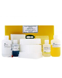 RPI Zymoprep-96 Yeast Plasmid Miniprep, 8 X 96 Preps