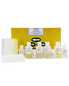 RPI Quick-Dna 96 Kit, 4 X 96 Preps