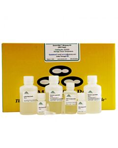 RPI Quick-Dna Miniprep, 200 Preps