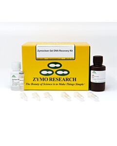 RPI Zymoclean Gel Dna Recovery Kit (Uncapped), 10 Preps