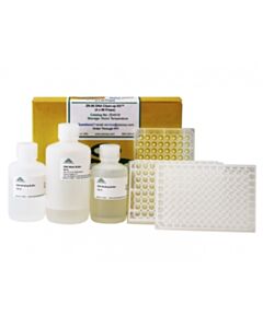 RPI Zr-96 Dna Clean-Up Kit, Shallow Well, 4 X 96 Preps