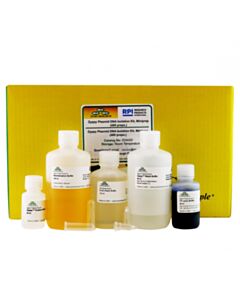 RPI Zyppy Plasmid Miniprep Kit, 400 Preps