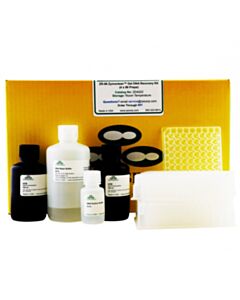 RPI Zr-96 Zymoclean Gel Dna Recovery Kit, 4 X 96 Preps