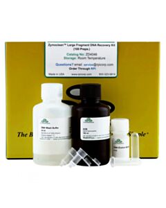 RPI Zymoclean Large Fragment Dna Recovery Kit, 100 Preps