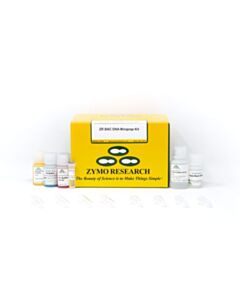 RPI Zr Bac Dna Miniprep Kit, 25 Preps