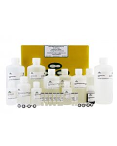 RPI Quick-Dna Magbead Plus Kit, 4 X 96 Preps