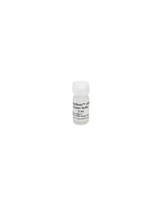 RPI MAGicBead cfDNA Elution Buffer, 2 mL