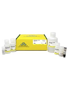 RPI MAGicBead cfDNA Isolation Kit, 2mLx50 preps