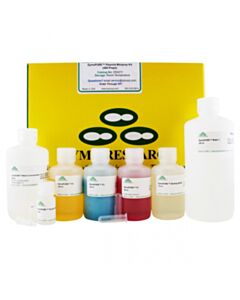 RPI Zymopure Plasmid Miniprep Kit, 400 Preps