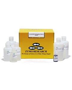 RPI Zymobiomics 96 Magbead Dna Kit (Lysis Rack), 2 X 96 Preps