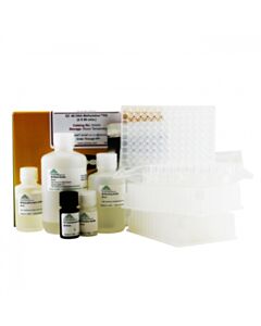 RPI Ez-96 Dna Methylation Kit, Deep Well Format, 2 X 96 Reactions