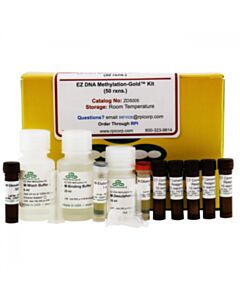 RPI Ez Dna Methylation-Gold Kit, 50 Reactions
