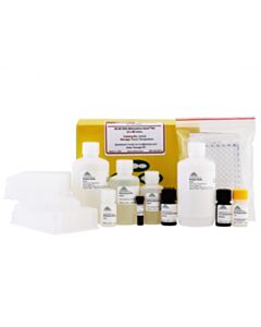 RPI Ez-96 Dna Methylation-Gold Kit, Deep-Well, 2 X 96 Rxns