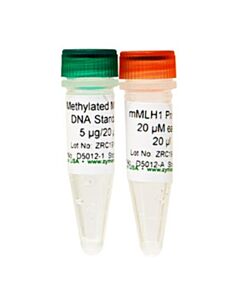 RPI Universal Methylated Mouse Dna Standard