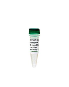 RPI Human Hct116 Dko Methylated Dna, 5 Μg/20 Μl
