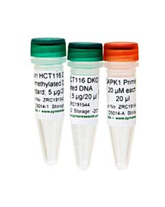 RPI Human Methylated & Non-Methylated Dna Set, Dna W/Primers, 1 Set