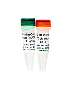 RPI BisuLfite-Converted Universal Methylated Human Dna Standard