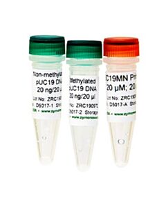 RPI Methylated & Non-Methylated Puc19 Dna Set, 5 Μg