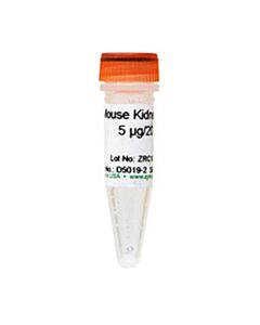 RPI Mouse Kidney Dna, 5 Ug